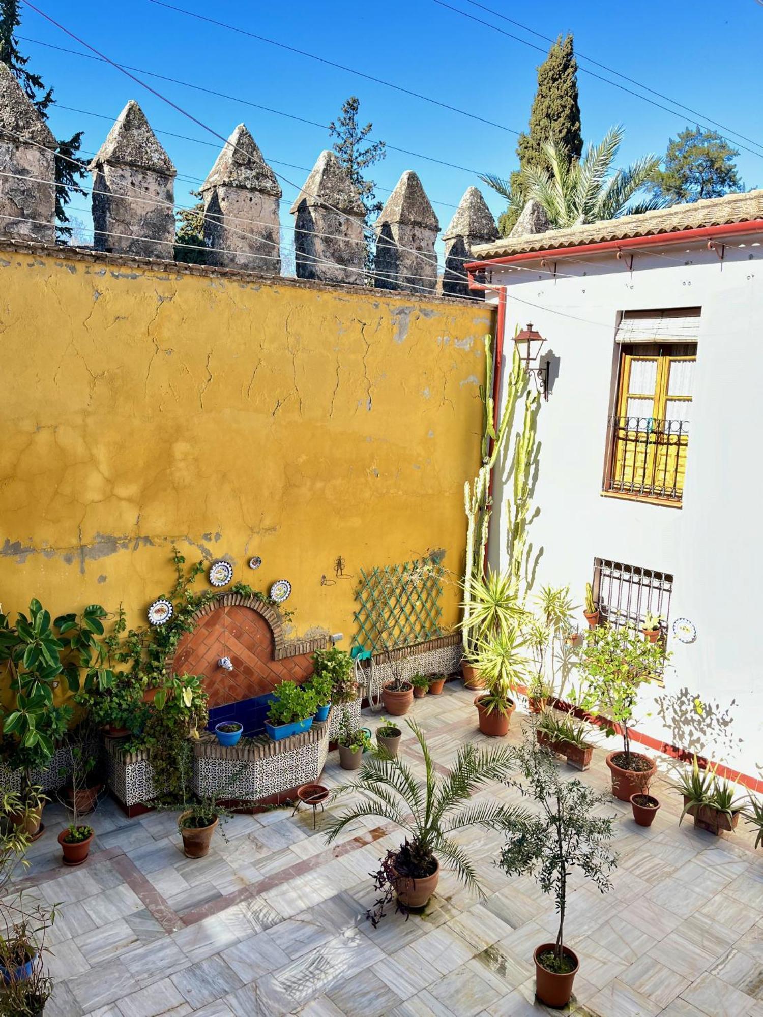El Patio De Wallada Córdoba Eksteriør bilde