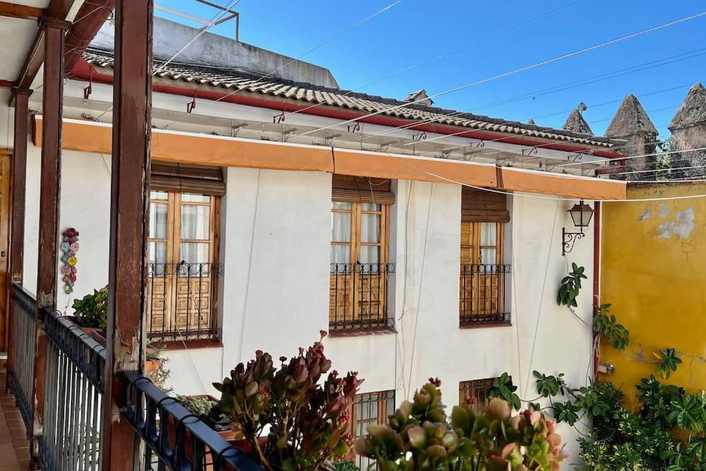 El Patio De Wallada Córdoba Eksteriør bilde