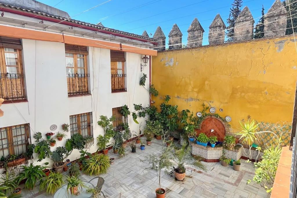 El Patio De Wallada Córdoba Eksteriør bilde