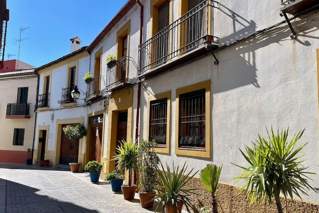 El Patio De Wallada Córdoba Eksteriør bilde